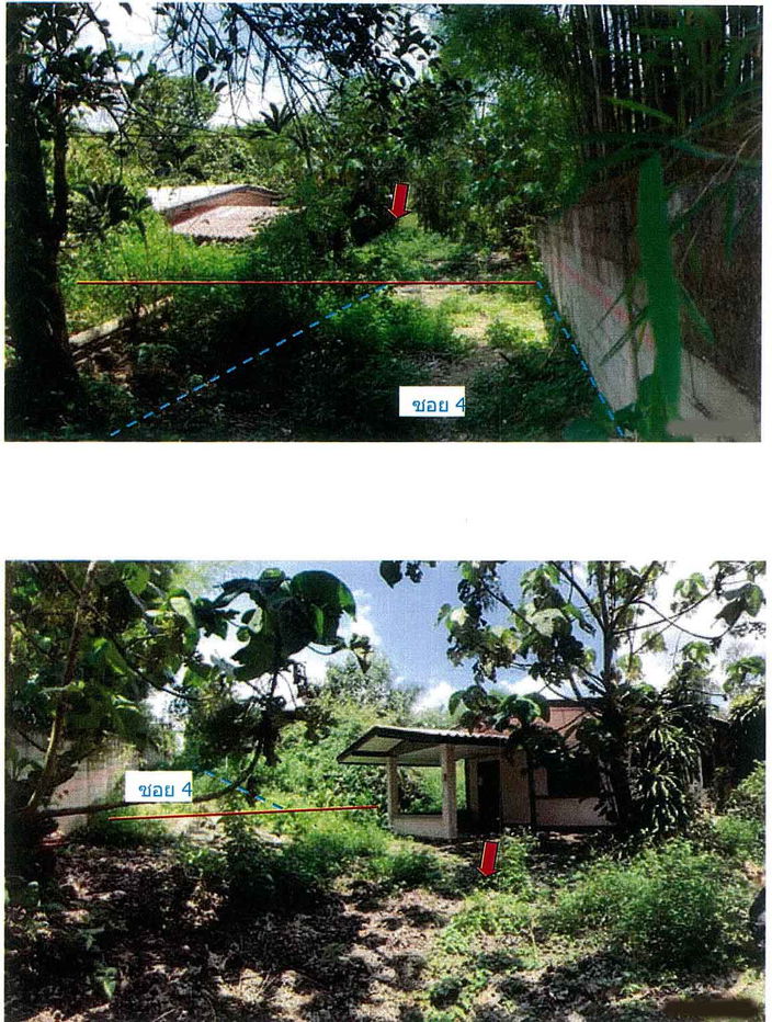 picture บ้านเดี่ยว 536 square meter Chiang Mai Fang Wiang for 362000 THB - 1/2