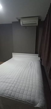 @Condorental condo for rent The Maple @Ratchada 19