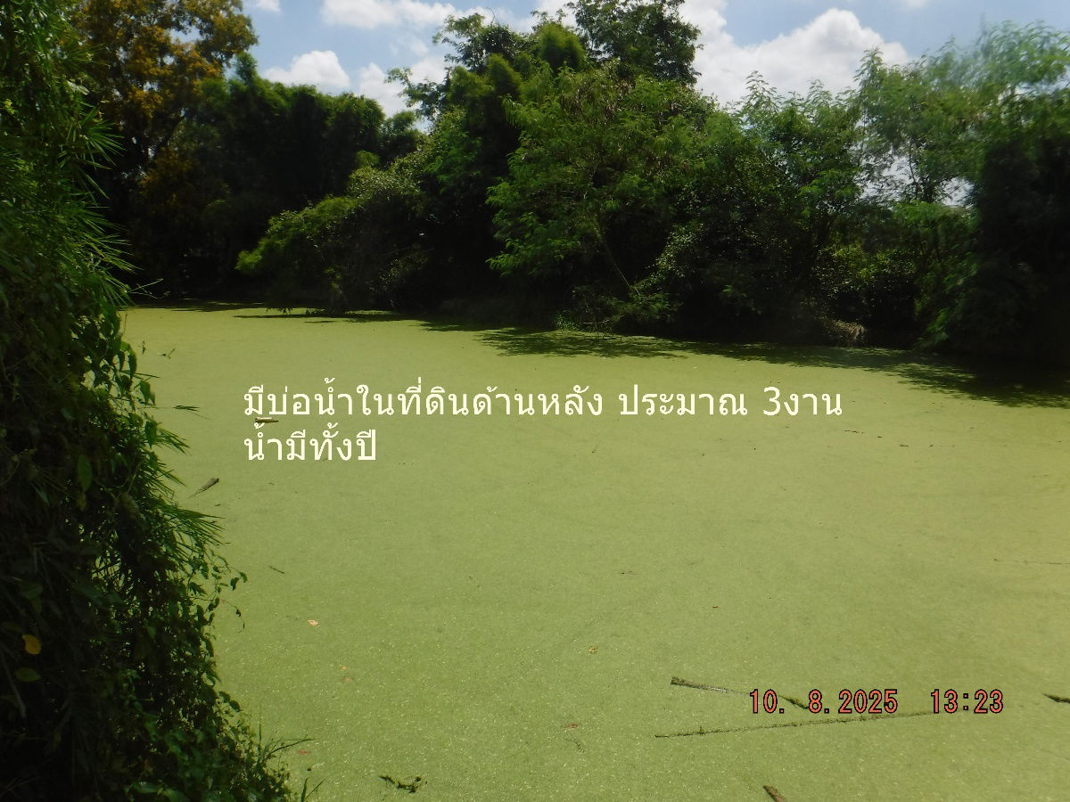 รูป ขายที่ดินพร้อมสิ่งปลุกสร้าง 12 ไร่ ต.ห้วยแห้ง อ.แก่งคอย ไร่ละ 7 แสน - รูปที่ 7/11