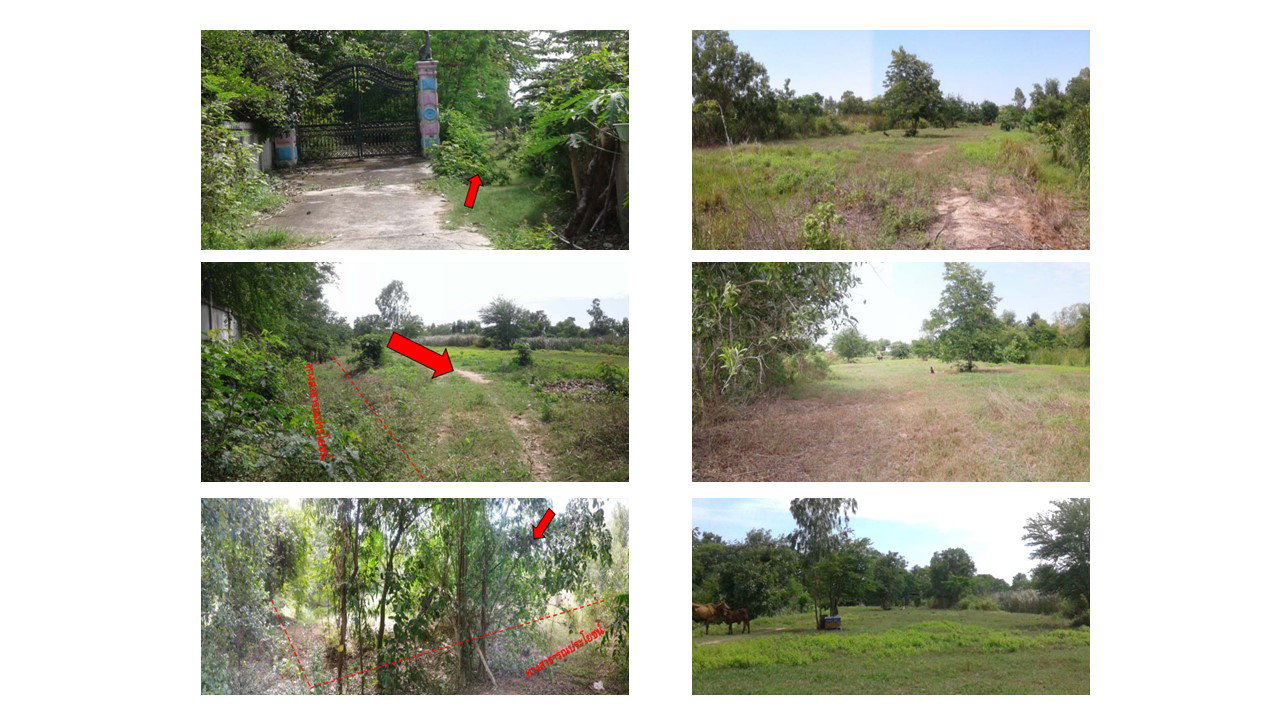 LAND 1150 Sq.w. Phayakkhaphum Phisai Maha Sarakham for 3.7M