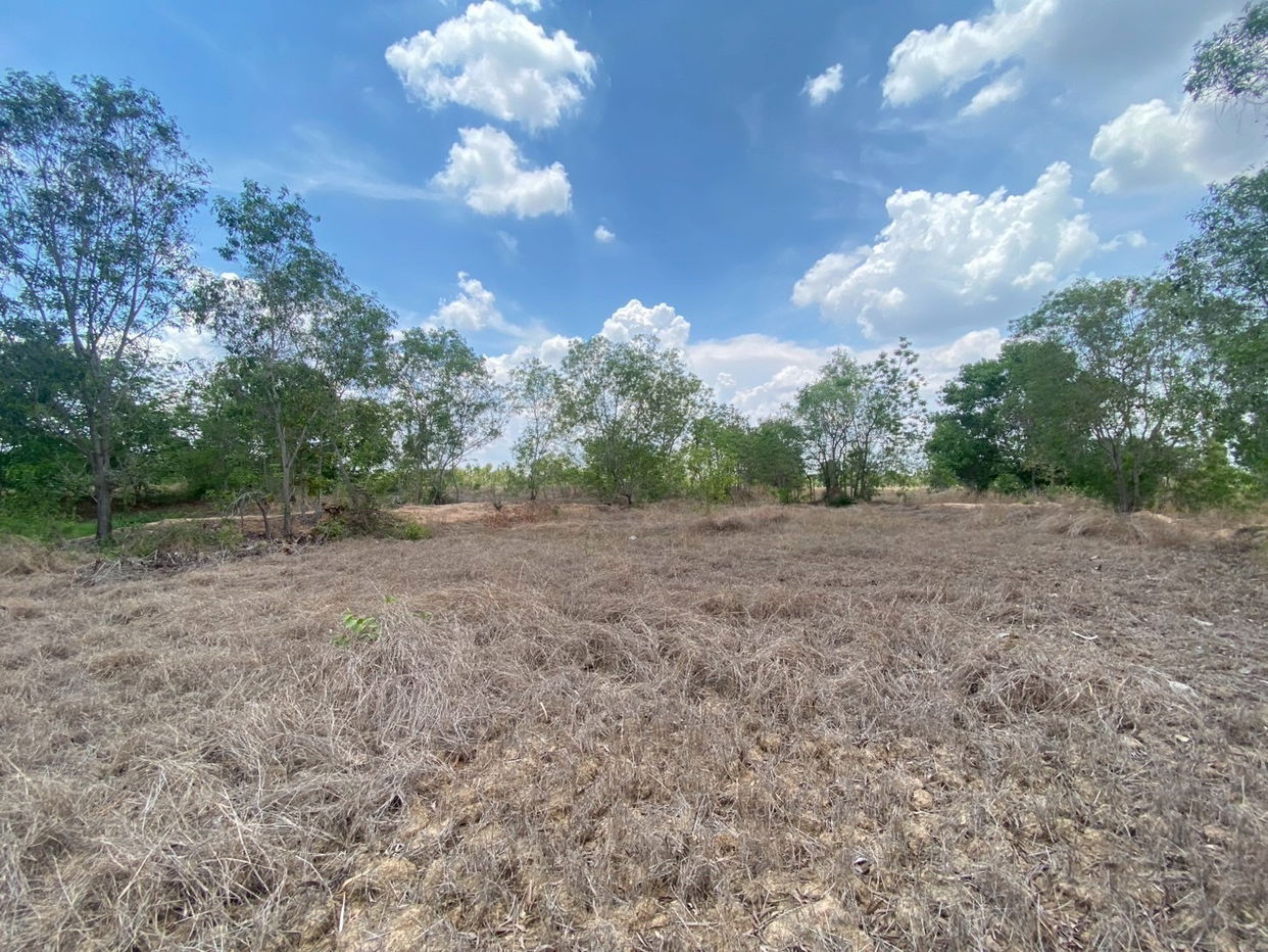 picture ที่ดินเปล่า 8000 square meter Maha Sarakham Muang Maha Sarakham Khwao for 3124000 THB - 10/12