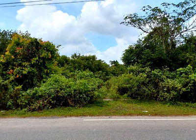 Land for sale Hat Yai Songkhla : ที่ดินเปล่า 5532 square meter Songkhla Hat Yai Khuan Lang for 7471000 THB