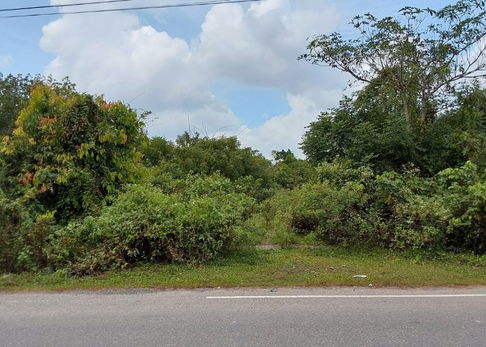 ที่ดินเปล่า 5532 square meter Songkhla Hat Yai Khuan Lang for 7471000 THB