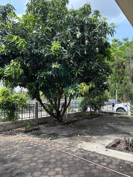 🚩 For Sell House MANEERIN RATTANATHIBET 2-story 4 bedroom 3 bathroom