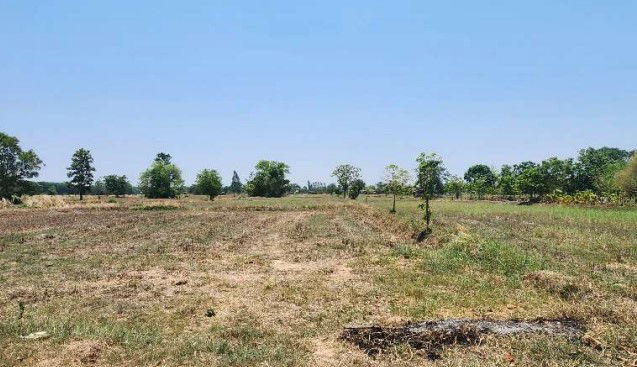picture บ้านเดี่ยว 16000 square meter Khon Kaen Phra Yun Kham Pom for 4397000 THB - 3/5