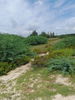 listing thumbnail image 4