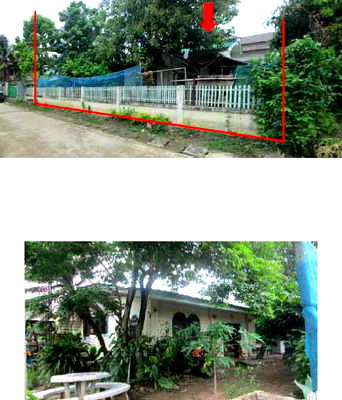Houses for sale Chiang Mai : บ้านเดี่ยว 324 square meter Chiang Mai Chai Prakarn Sri Dong Yen for 652000 THB
