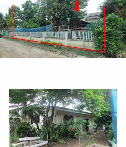 picture บ้านเดี่ยว 324 square meter Chiang Mai Chai Prakarn Sri Dong Yen for 652000 THB - 1/2