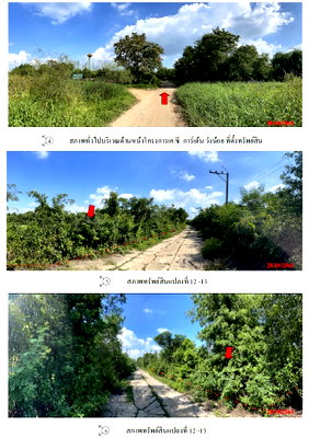 ที่ดินเปล่า 1587.8 ตร.วา อำเภอวังน้อย พระนครศรีอยุธยา