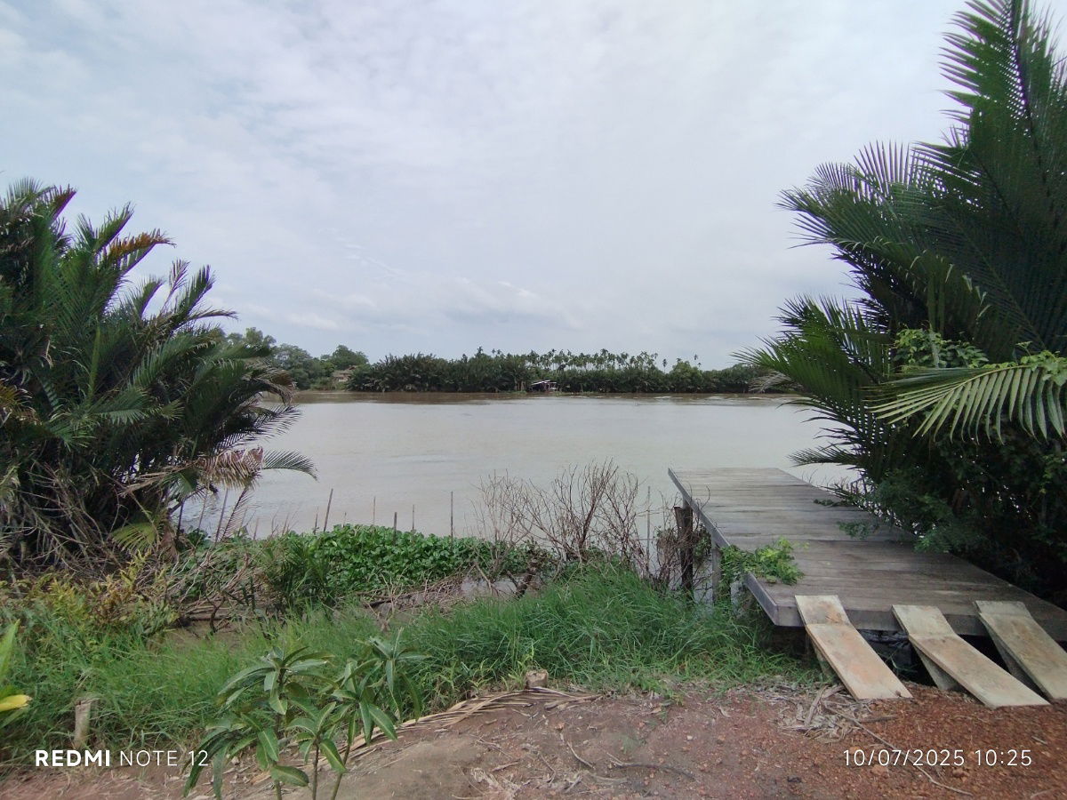 picture 🌿 Riverside Land for Sale in Bangpakong - Over 5 Rai, Pak Nam Cholo, Near Bang Khla Market - High Potential for Eco-Agricultural Business Development - 2/9