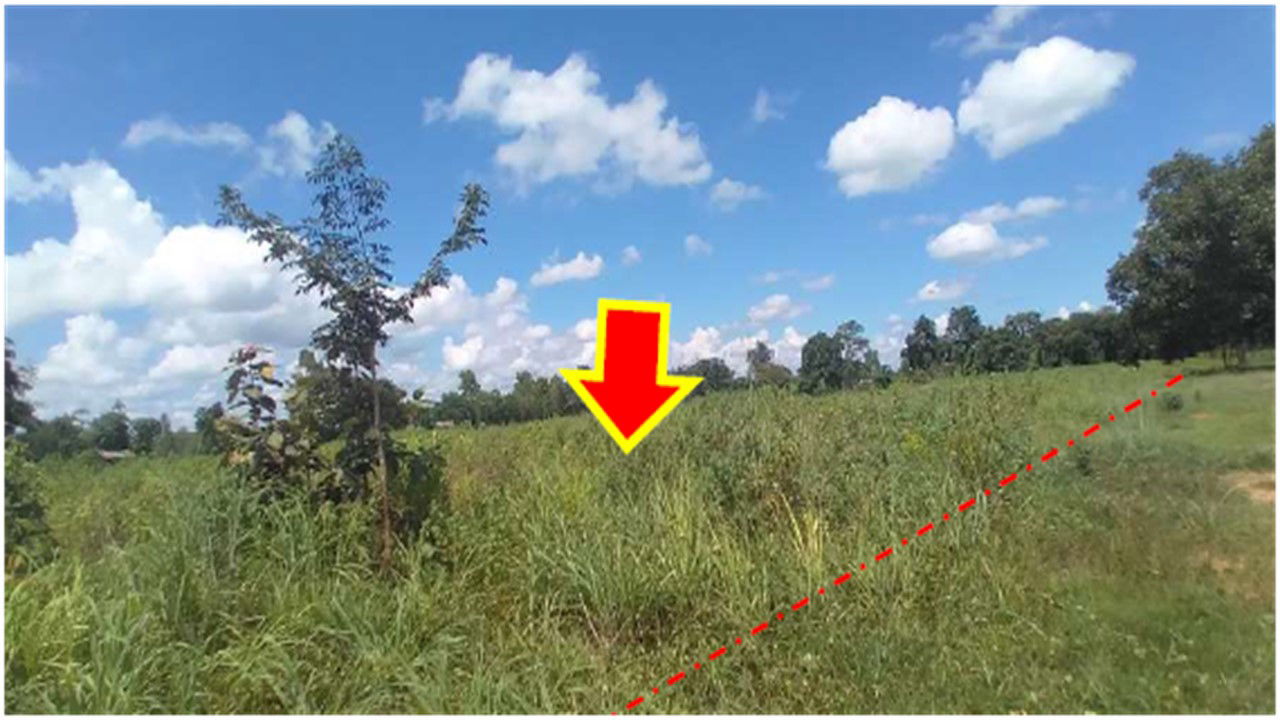 picture ที่ดินเปล่า 11820 square meter Yasothon Loeng Nok Tha Sawat for 8549000 THB - 4/9