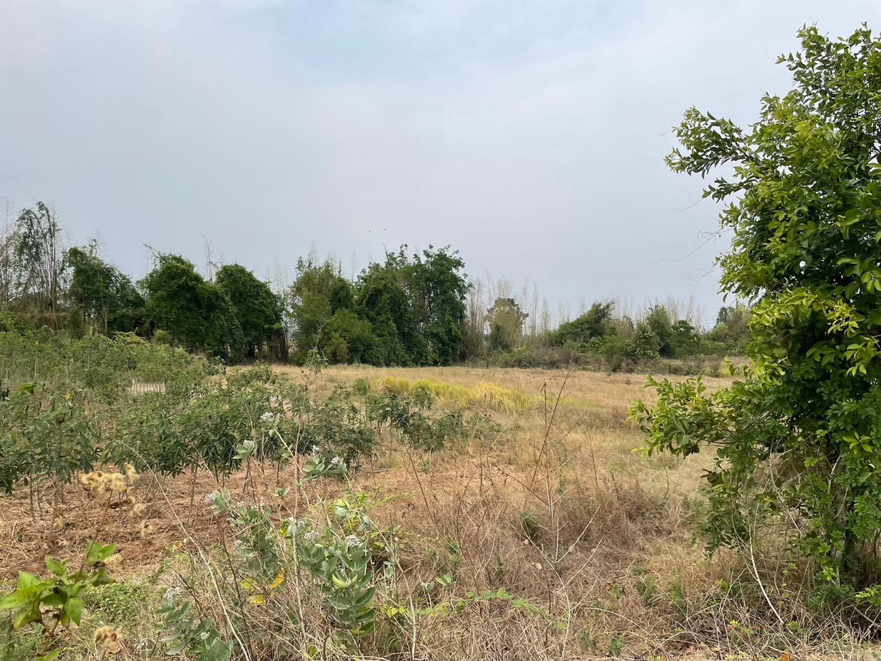 picture ที่ดินเปล่า 57444 square meter Buri Ram Lam Plai Mat Nong Khu for 30518000 THB - 7/9