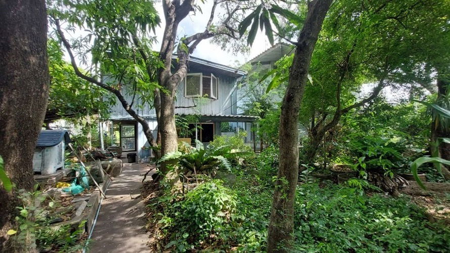 picture Land for sale at Wat Phai Ngern Chotnaram, good price, beautiful land (N.663) - 6/8