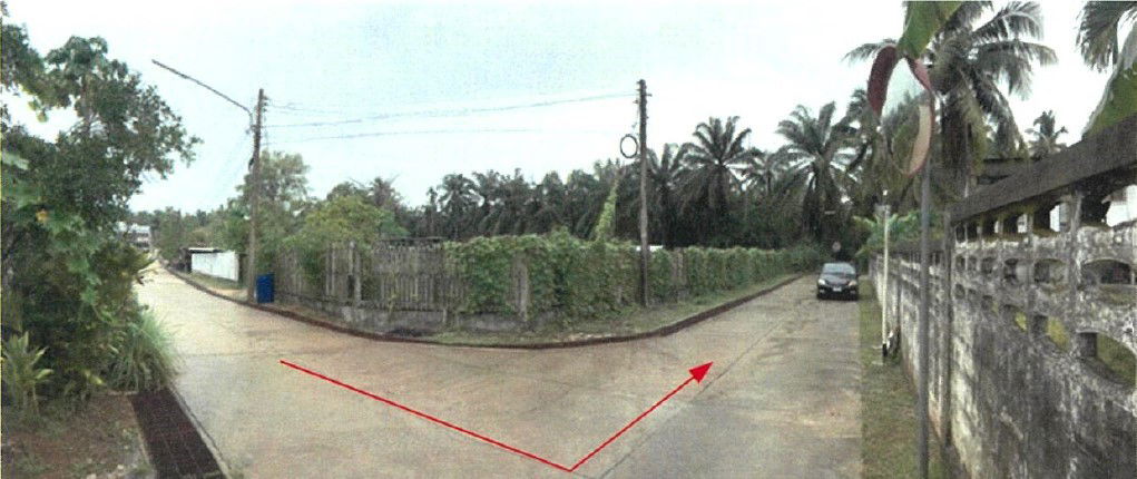 picture ที่ดินเปล่า 1824 square meter Chumphon Tha Sae Tha Sae for 1929000 THB - 7/9