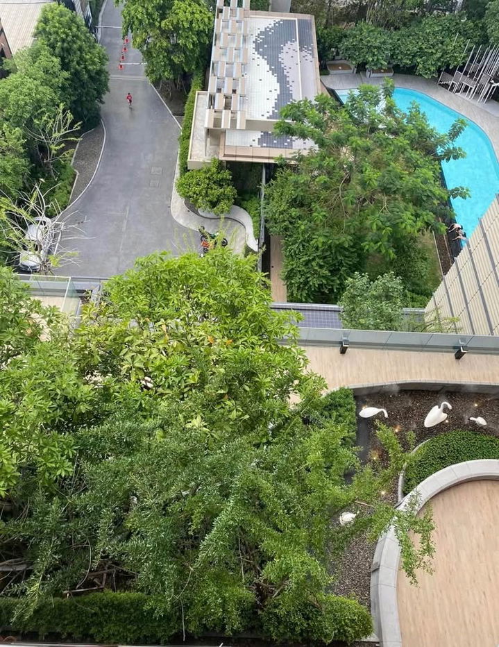 picture [ RENT ]  ⚡🌈 BL202507 The Base Garden – Rama 9 ⚡🌈LINE: @theagentpro (with @ in front) - 5/8