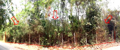 ที่ดิน ขอนแก่น : ที่ดินเปล่า เนื้อที่ทั้งหมด 1136.8 ตารางเมตร - ตำบลไชยสอ อำเภอชุมแพ ขอนแก่น ราคา 1,407,000 บาท