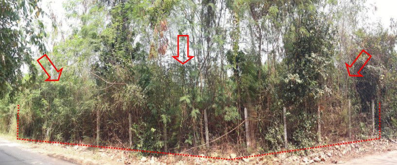 picture ที่ดินเปล่า 1136.8 square meter Khon Kaen Chum Phae Chum Phae for 1088000 THB - 2/4