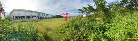 ที่ดินเปล่า 6816.8 square meter Songkhla Hat Yai Khlong Hae for 29522000 THB
