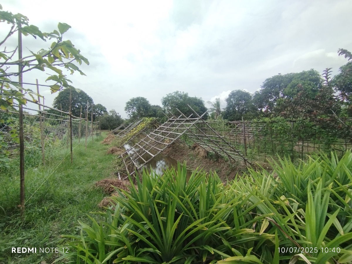picture 🌿 Riverside Land for Sale in Bangpakong - Over 5 Rai, Pak Nam Cholo, Near Bang Khla Market - High Potential for Eco-Agricultural Business Development - 9/9