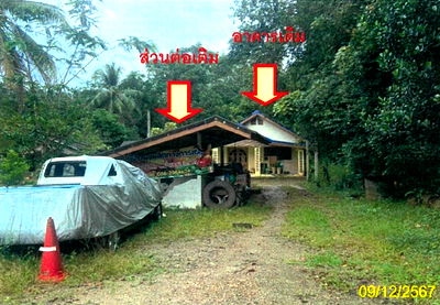 Houses for sale Phatthalung : บ้านเดี่ยว 772 square meter Phatthalung Pa Bon Wang Mai for 534000 THB