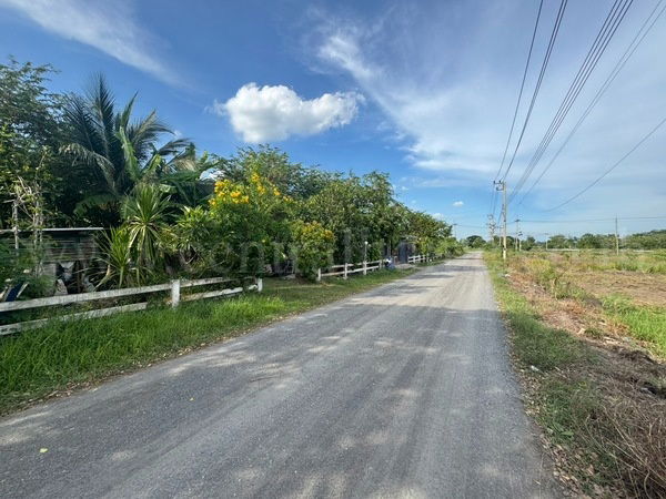 รูป บ้านเดี่ยวพร้อมที่ดิน 2 ไร่ หนองเสือ - คลอง 10 ปทุมธานี - รูปที่ 18/18