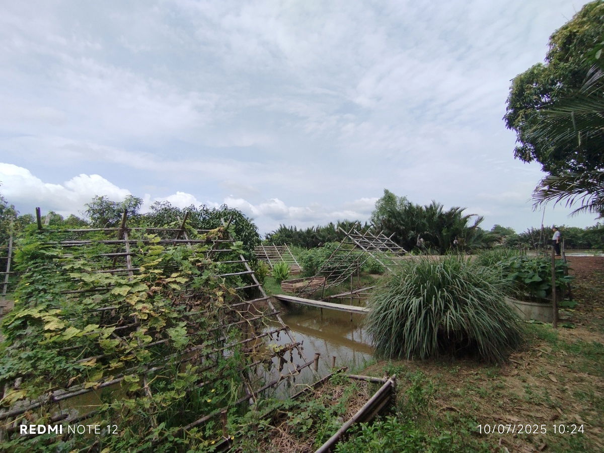 picture 🌿 Riverside Land for Sale in Bangpakong - Over 5 Rai, Pak Nam Cholo, Near Bang Khla Market - High Potential for Eco-Agricultural Business Development - 3/9