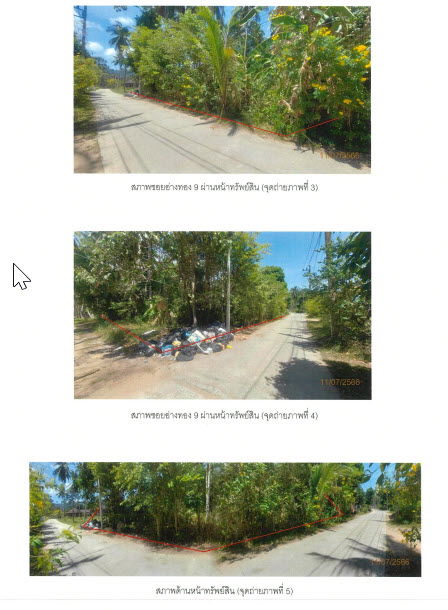 picture ที่ดินเปล่า 636 square meter Surat Thani Ko Samui Ang Thong for 2385000 THB - 1/2