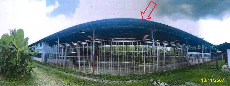 รูป โรงงาน เนื้อที่ทั้งหมด 3859.2 ตารางเมตร 81 หมู่ 3 ตำบลทุ่งกระบือ อำเภอย่านตาขาว ตรัง ราคา 1,875,000 บาท - รูปที่ 11/12