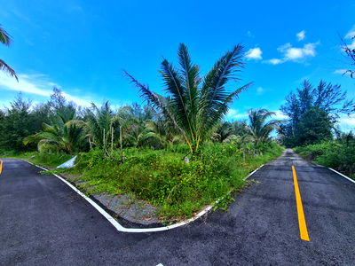 Land for sale Takua Pa Phangnga : ที่ดินเปล่า 75308 square meter Phangnga Takua Pa Ko Kho Khao for 128685000 THB