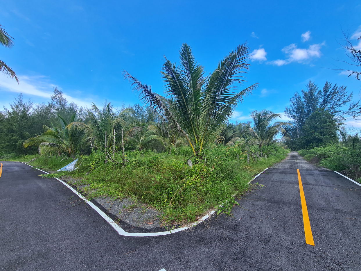 picture ที่ดินเปล่า 75308 square meter Phangnga Takua Pa Ko Kho Khao for 128685000 THB - 1/5