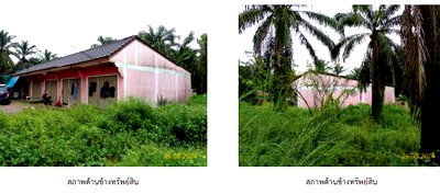 อาคารพาณิชย์ พระแสง สุราษฎร์ธานี : ตึกแถว 126.4 ตร.วา อำเภอพระแสง สุราษฎร์ธานี 1.5M