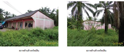 picture ตึกแถว 505.6 square meter Surat Thani Prasaeng Bang Sawan for 1837000 THB - 5/9
