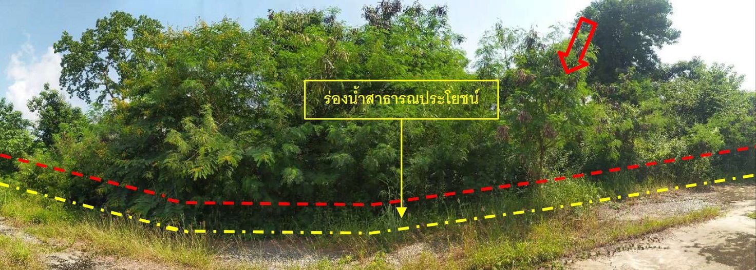 picture ที่ดินเปล่า 10808 square meter Loei Tha Li A Hi for 5390000 THB - 7/8