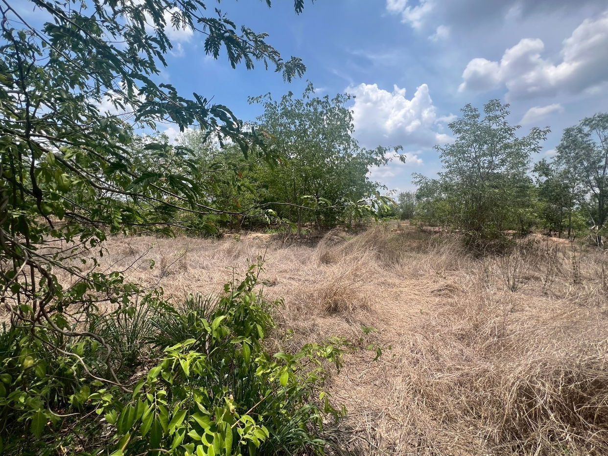 picture ที่ดินเปล่า 8000 square meter Maha Sarakham Muang Maha Sarakham Khwao for 3124000 THB - 5/12