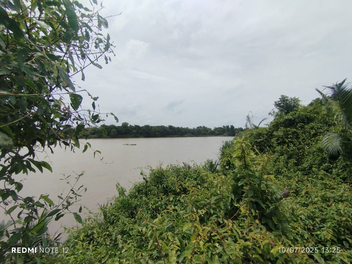 picture 🌿Riverside Land For Sale 9+ Rai Land with Bangpakong River View, Hua Sai, Bang Khla - Perfect for Investment & Various Eco-Business Development - 5/7
