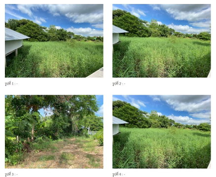 LAND 222.7 Sq.w. Lat Yao Nakhon Sawan for 613,000