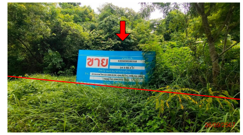 picture ที่ดินเปล่า 23801.2 square meter Krabi Muang Krabi Nong Tale for 52363000 THB - 6/7