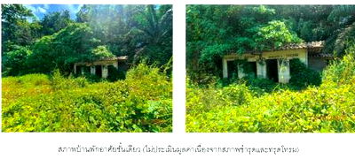 Land for sale Phanom Surat Thani : ที่ดินเปล่า 3208 square meter Surat Thani Phanom Khlong Sok for 3529000 THB