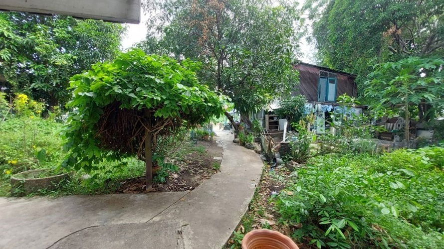 picture Land for sale at Wat Phai Ngern Chotnaram, good price, beautiful land (N.663) - 7/8