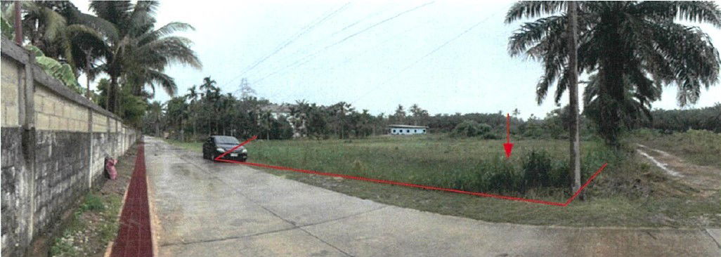 picture ที่ดินเปล่า 1824 square meter Chumphon Tha Sae Tha Sae for 1929000 THB - 1/9