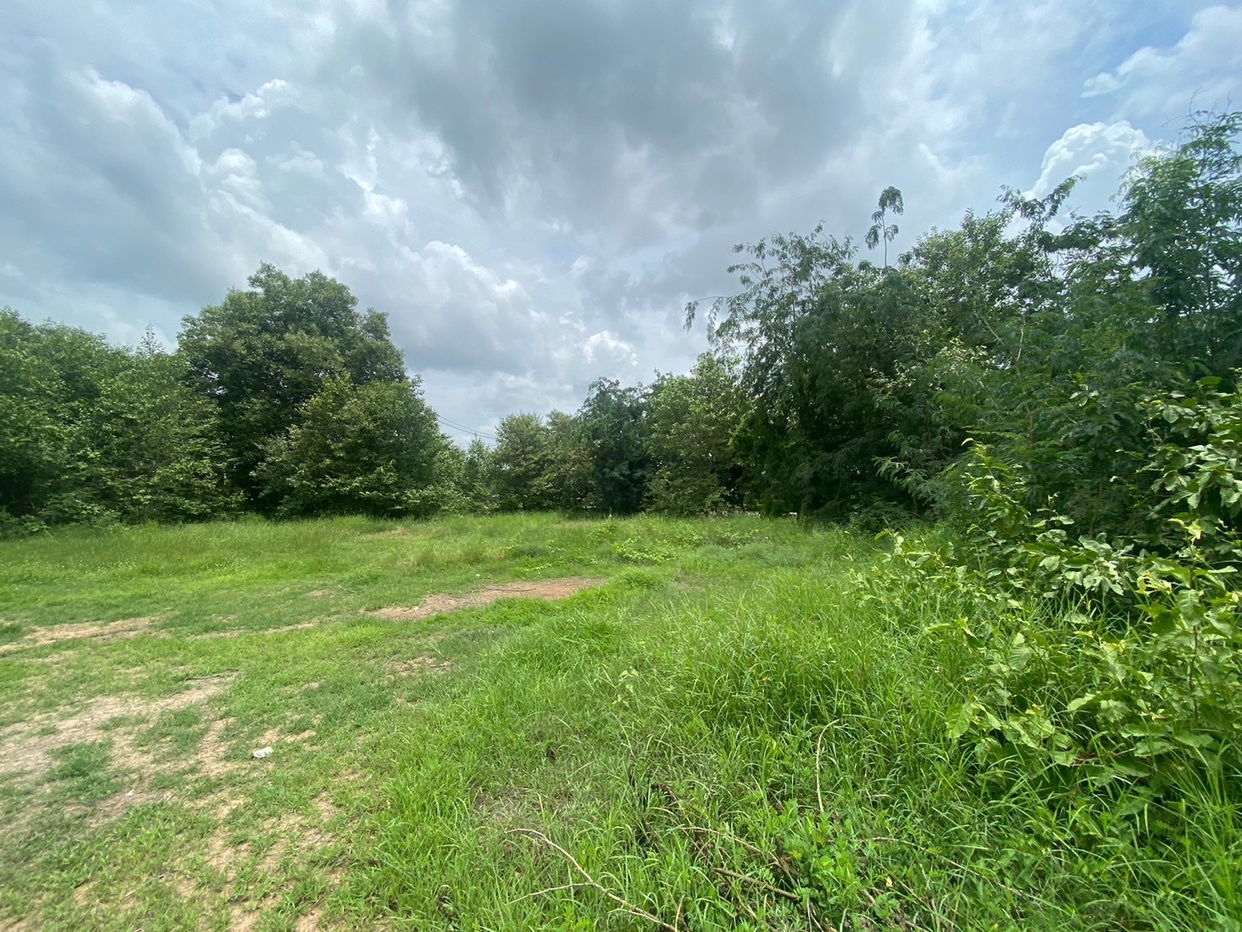 picture ที่ดินเปล่า 5329.6 square meter Yasothon Muang Ya Sothon Nai Muang for 26382000 THB - 1/9