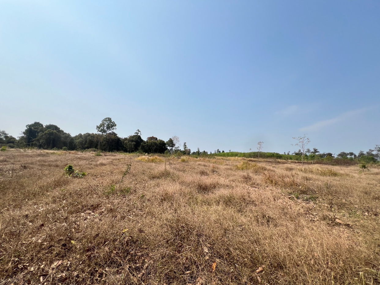 picture ที่ดินเปล่า 152368 square meter Sakon Nakhon Kham Ta Kla Nong Bua Sim for 5333000 THB - 6/12