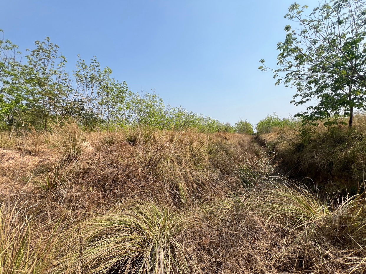 picture ที่ดินเปล่า 152368 square meter Sakon Nakhon Kham Ta Kla Nong Bua Sim for 5333000 THB - 9/12