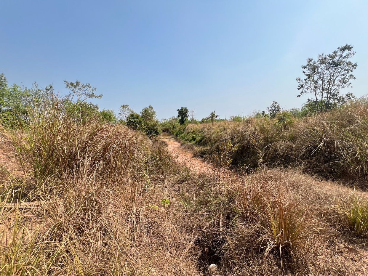 picture ที่ดินเปล่า 152368 square meter Sakon Nakhon Kham Ta Kla Nong Bua Sim for 5333000 THB - 11/12