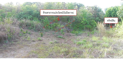 ที่ดินเปล่า เนื้อที่ทั้งหมด 23920 ตารางเมตร ไม่มีเลขที่ - ตำบลศาลาด่าน อำเภอเกาะลันตา กระบี่ ราคา NaN บาท