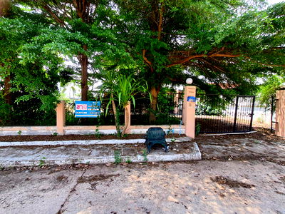 Houses for sale Muang Udon Thani Udon Thani : บ้านเดี่ยว 672 square meter Udon Thani Muang Udon Thani Non Sung for 3630000 THB