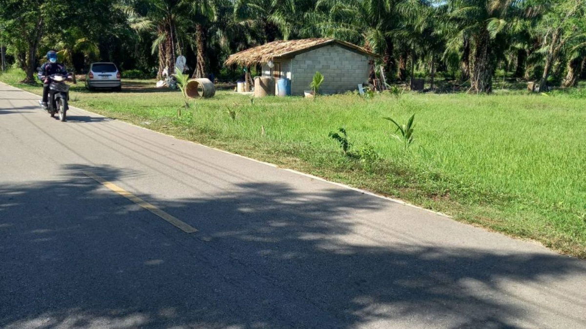 picture Land for Sale – Ideal for Investment in Chumphon, Thailand. Just 5 Minutes from the Beach. Total Area: 6 Rai, 1 Ngan, 96.7 Square Wah - 2/8