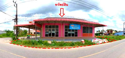 Houses for sale Songkhla : บ้านเดี่ยว 332 square meter Songkhla Bang Klam Tha Chang for 4954000 THB