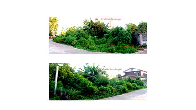 Land for sale Kut Chap Udon Thani : ที่ดินเปล่า 667.6 square meter Udon Thani Kut Chap Muang Fia for 710000 THB