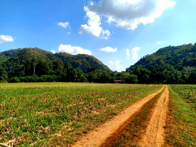ที่ดิน นครราชสีมา (โคราช) : ขายที่ดินเขาใหญ่ ปากช่อง ติดน้ำลำตะคอง หมูสี ท่าช้าง ใกล้ธนะรัชต์ 21 ไร่ ที่สวยมาก วิวเขาล้อมรอบ ใกล้บ่อน้ำผุดธรรมชาติใกล้ทางขึ้นอุทยาน 0879074045